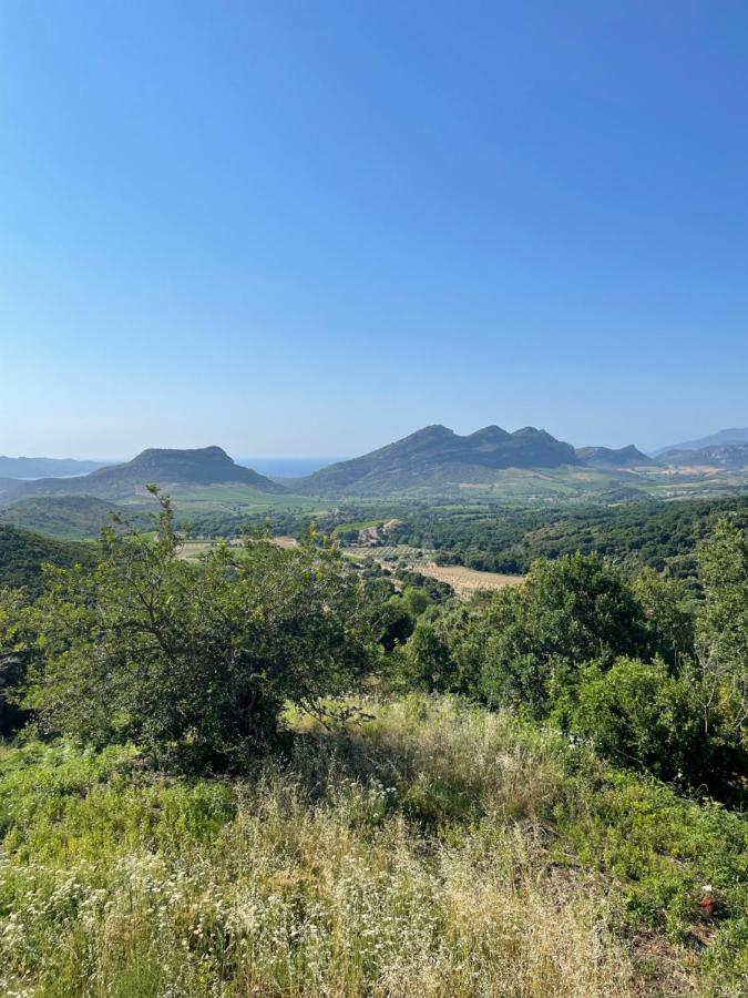 Poggio-d'Oletta Casa Di Cajucan מראה חיצוני תמונה