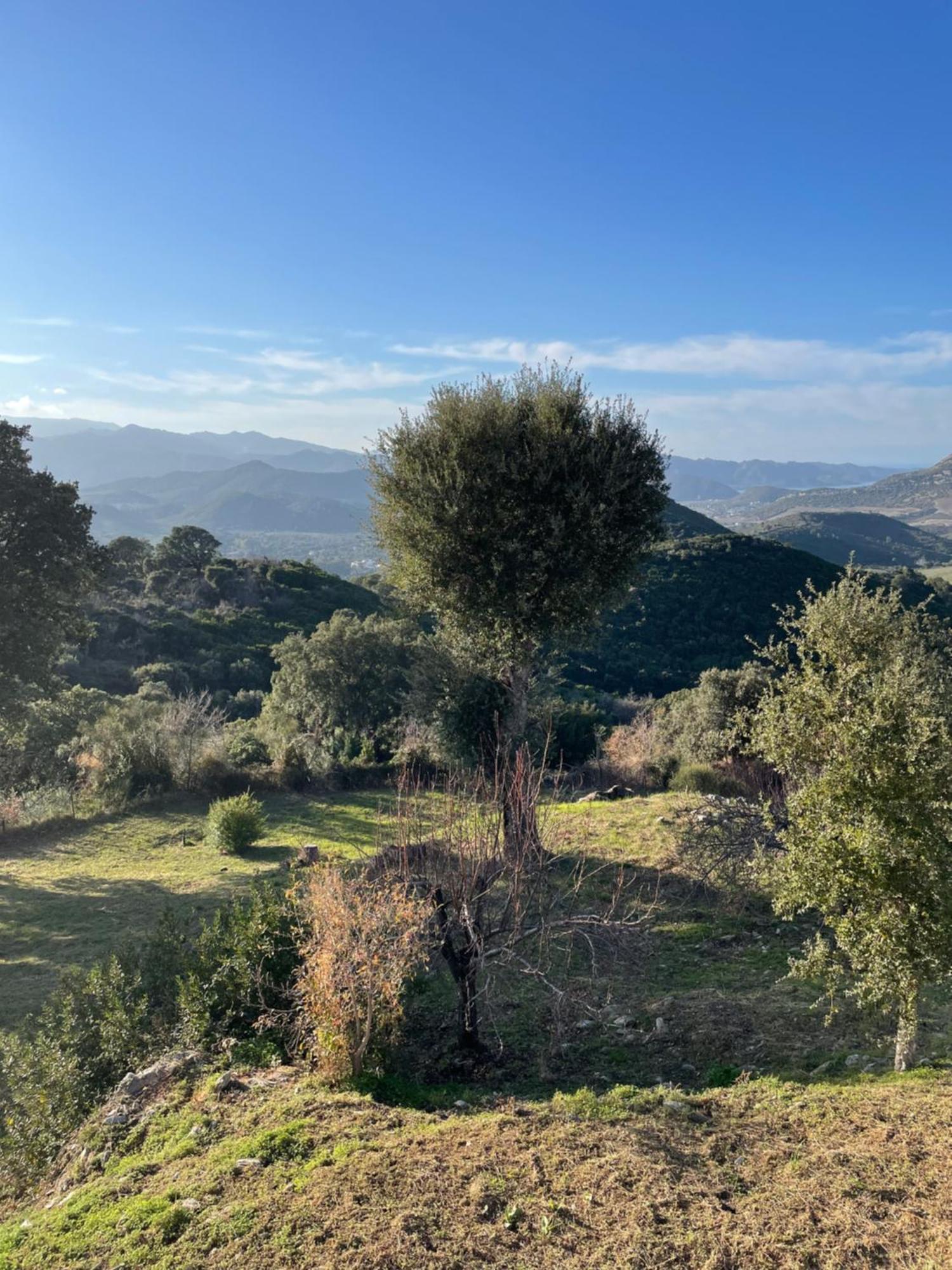 Poggio-d'Oletta Casa Di Cajucan מראה חיצוני תמונה